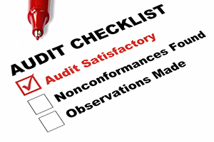 Successful Audit